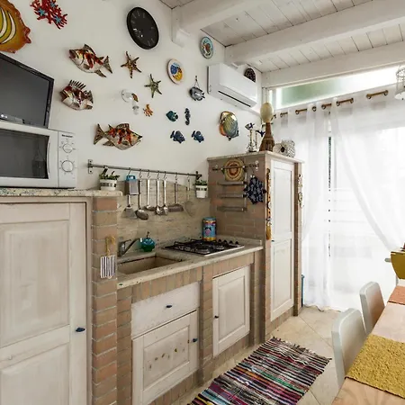 Mamj By Barbarhouse *